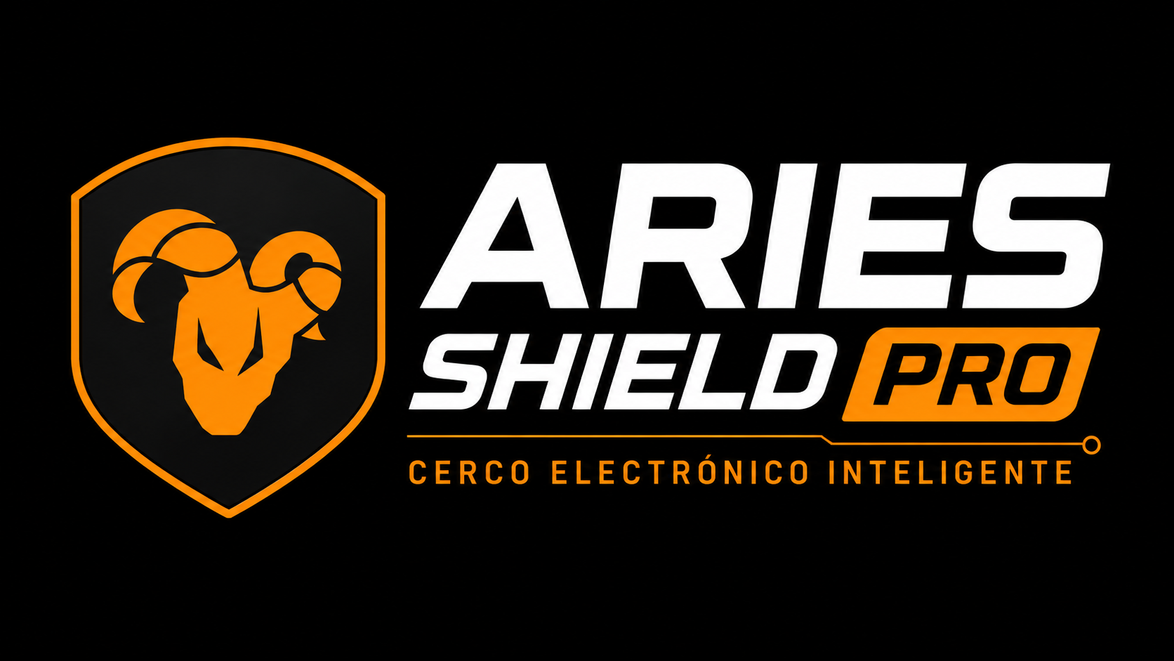 Aries Seguridad Electrónica